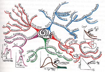 MindMap