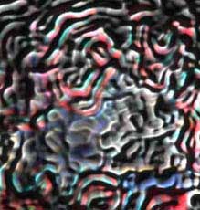 Brain Matter