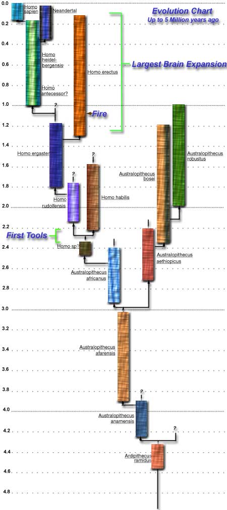 chart2.jpg