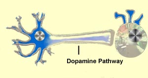 dopamine pathway illustration