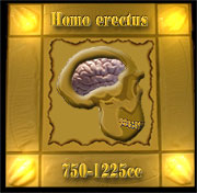 Homo erecturs brain size