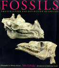 Fossils, Niles Eldredge