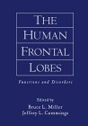 The Human Frontal Lobes