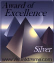 VisualExtreme's Silver Award of Excellence