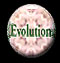 Evolution Channel back button