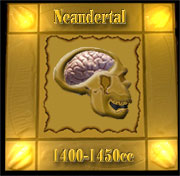 Neandertal brain size