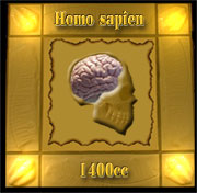 Homo sapien brain