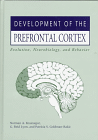 Development of the Prefrontal Cortex: Evolution, Neurology and Behavior